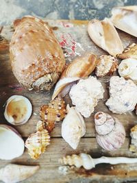 High angle view of seashells on wooden table