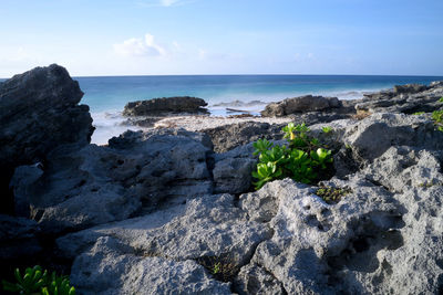 Scenic view of sea against sky