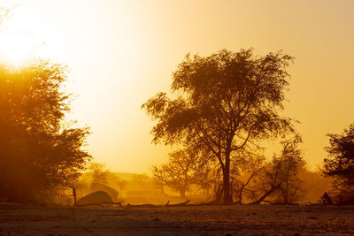 Silhouette trees on field against sky during sunset