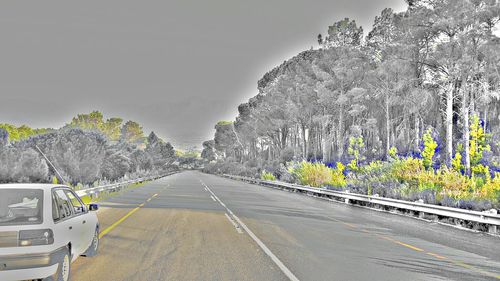 Road passing through trees