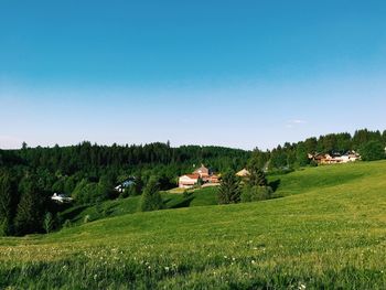 Houses on grassy hill against blue sky