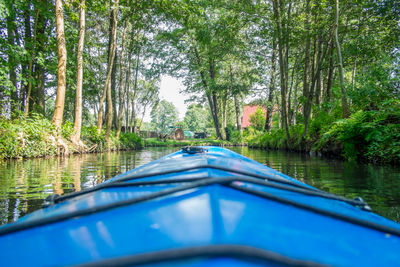 Reflection of trees in swimming pool