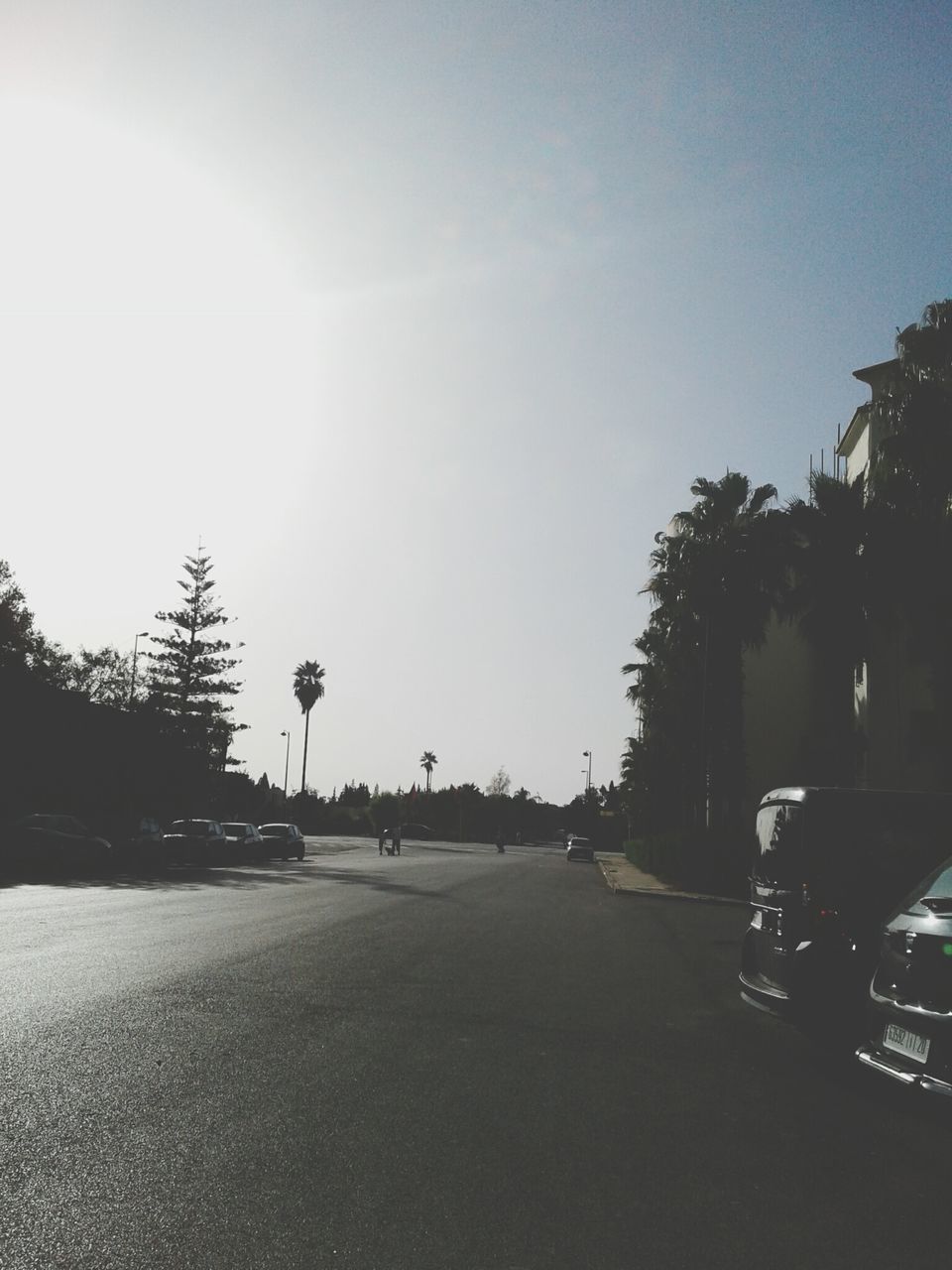 car, transportation, land vehicle, tree, road, mode of transport, sunlight, street, outdoors, day, no people, stationary, palm tree, sky, clear sky, nature, city