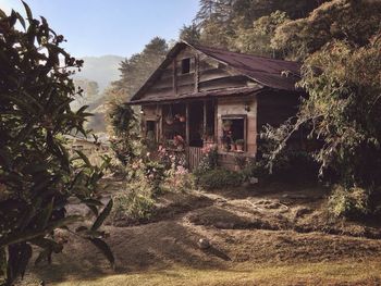 Trees in front of building