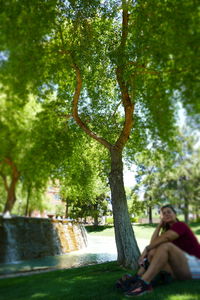 Woman sitting in park