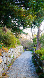 Footpath amidst trees in forest