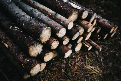 High angle view of logs on field