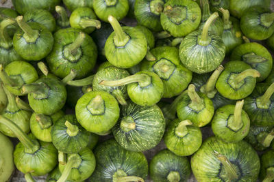 Full frame shot of green squash for sale at market