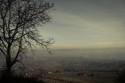 Scenic view of field against sky during foggy weather