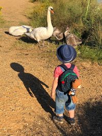 Rear view of boy standing by swan on land