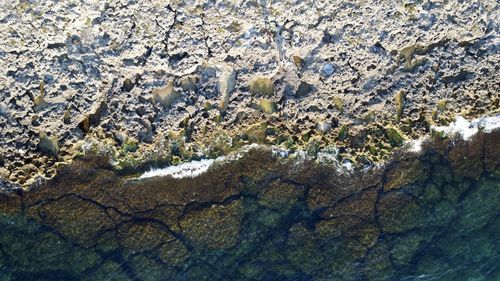 Full frame shot of rock in water