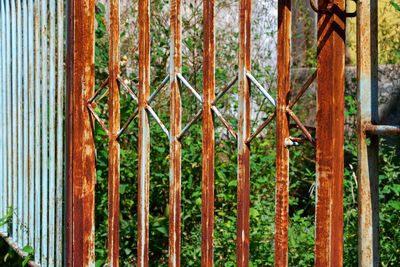 Close-up of metal fence against plants