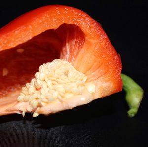 Close-up of orange slice in plate