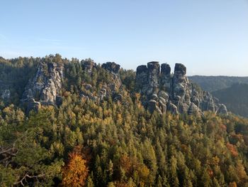 Panoramic view of pine trees against sky