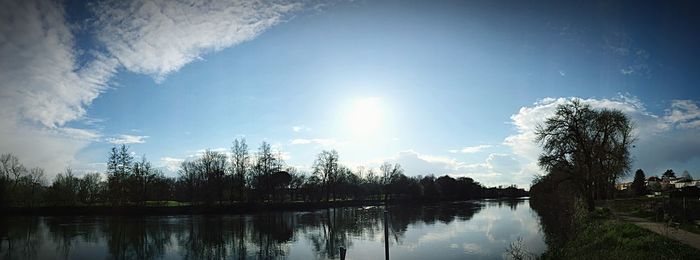 Reflection of trees in calm lake