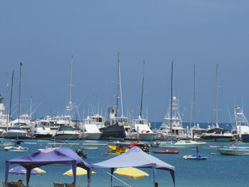 Sailboats moored at harbor against clear sky