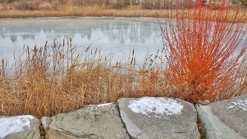 High angle view of frozen lake during winter