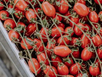 Full frame shot of tomatoes