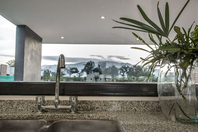 Potted plants on table by window against sky