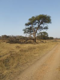 natural environment