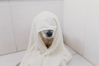 Close-up of a dog in bathroom