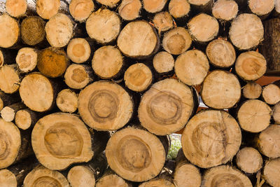 Full frame shot of firewood