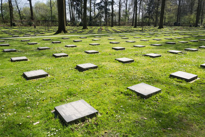 High angle view of cemetery on field