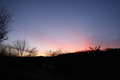 Silhouette trees against sky during sunset