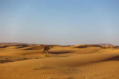 Scenic view of desert against clear sky