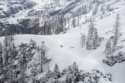 Scenic view of snow covered mountains and trees during winter