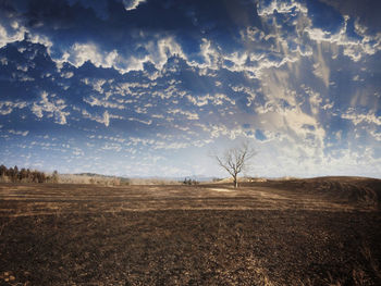 Scenic view of field against cloudy sky