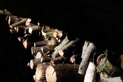 High angle view of logs in the dark