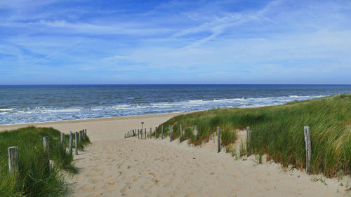 Scenic view of beach against sky