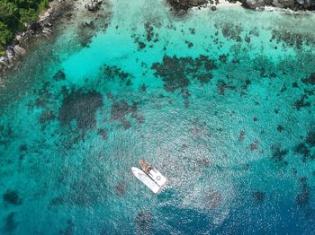 High angle view of man swimming in sea