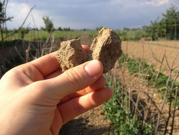 Close-up of hand holding soil at farm