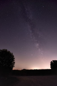 Silhouette trees on field against sky at night