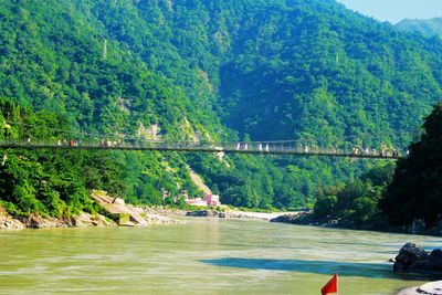 Scenic view of river in forest against sky