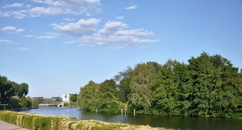 Trees by lake against sky