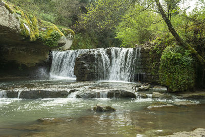 Scenic view of waterfall in forest