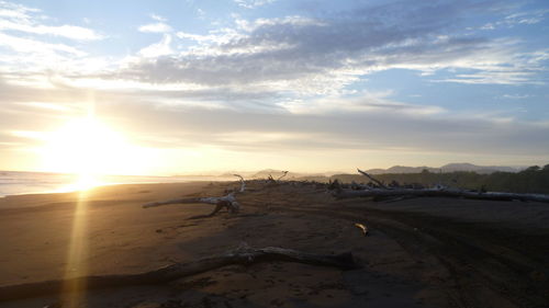 Scenic view of beach against sky during sunset