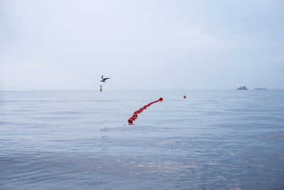 Buoys on sea against sky