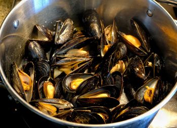 High angle view of shells in container