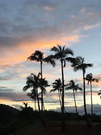 Silhouette of palm trees at sunset