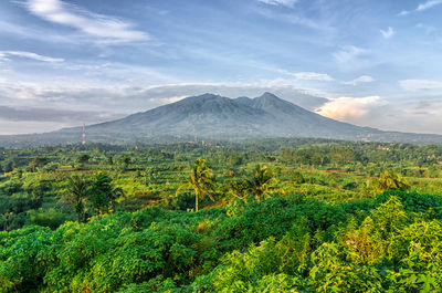 Scenic view of landscape against cloudy sky