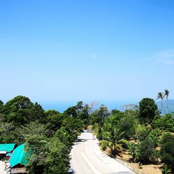 Scenic view of trees against clear blue sky