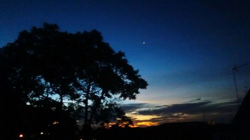 Low angle view of silhouette trees against sky at night