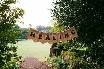 Low angle view of trees against clear sky