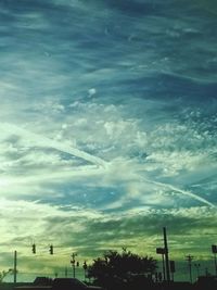 Low angle view of trees against sky