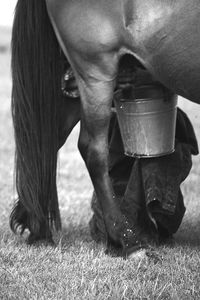 Midsection of man wearing mask on field