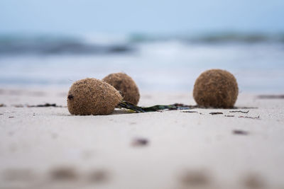 Surface level of sand on beach